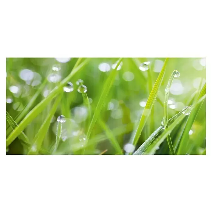 Küchenrückwand WandArt easy - Grass, 120 x 58,5 cm, Stärke: 3 mm, Schichtstoff - Leuchtend grünes Gras mit glitzernden Tautropfen, weicher Bokeh-Hintergrund.