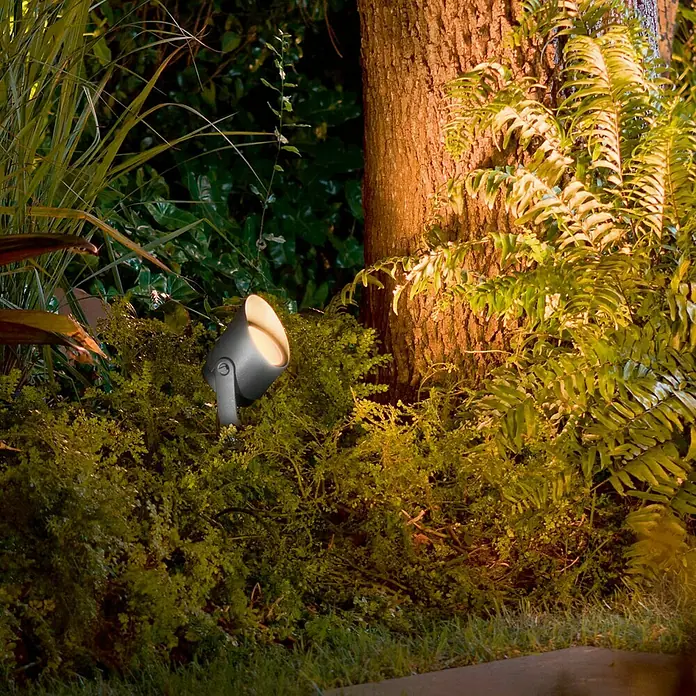 Philips Hue LED-Gartenspot Lily - Höhe: 19 cm - Gartenstrahler beleuchtet einen Baum und üppiges Grün, erzeugt eine warme und einladende Atmosphäre im Garten.