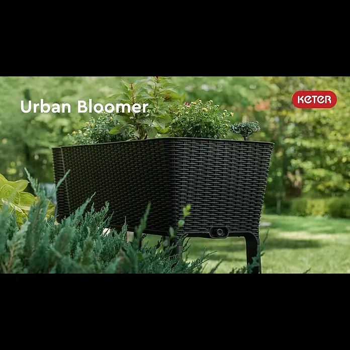 Keter Hochbeet Urban Bloomer - 82 x 38 x 78 cm, Kunststoff, Anthrazit - Keter Hochbeet Easy Growing