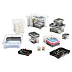 Regalux Clear Box Mini (L x B x H: 17,5 x 11,5 x 7 cm, 1 l, Transparent)
