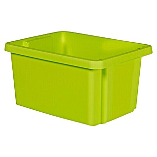 Curver Aufbewahrungsbox Essentials (L x B x H: 30 x 39 x 20 cm, Kunststoff, Grün)