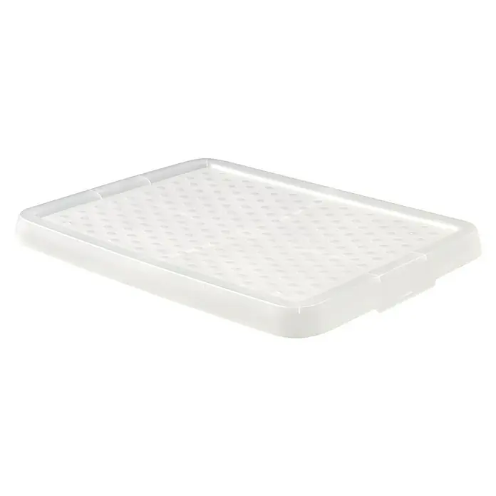 Curver Deckel Essentials - L x B x H: 44 x 34,5 x 2,7 cm, Passend für: Curver Aufbewahrungsbox Essentials 20 - 26 l, Kunststoff, Transparent - Eine weiße Abtropfschale aus Kunststoff mit Löchern, ideal für Geschirr oder Gemüse. Praktisch und leicht zu reinigen.