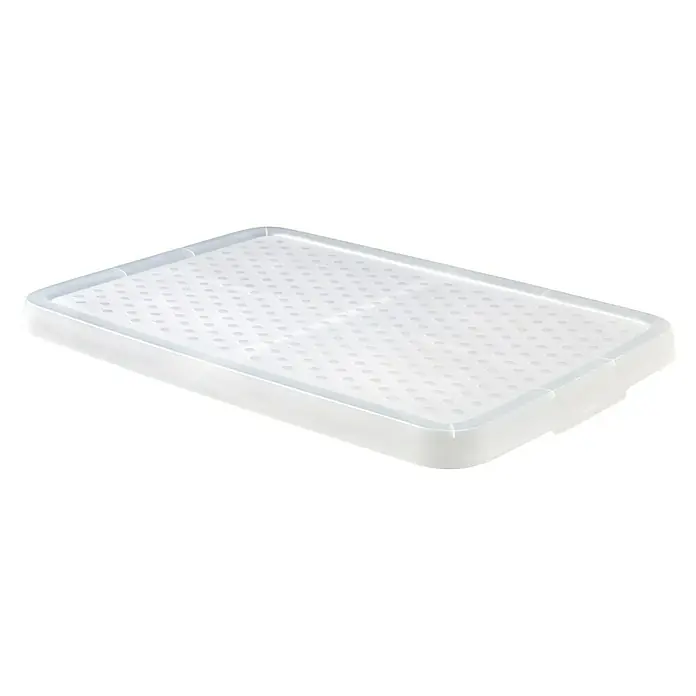 Curver Deckel Essentials - L x B x H: 57,1 x 39,8 x 2,9 cm, Passend für: Curver Aufbewahrungsbox Essentials 45 l, Kunststoff, Transparent - Hier ist eine weiße Saatgutschale, die sich perfekt für den Start Ihrer Samen eignet und eine optimale Drainage durch die Löcher bietet.