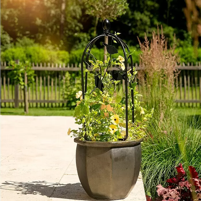 Windhager Rankgitter Bird für Pflanztopf - B x H: 26 x 60 cm, Schwarz, Metall - Dunkelgrauer Pflanzkübel mit schwarzem Metallspalier mit Vogelmotiven, mit gelben Blütenpflanzen auf einer Terrasse.
