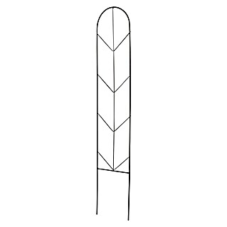 Windhager Rankhilfe Arrow (Höhe: 80 cm, Metall, Anthrazit)