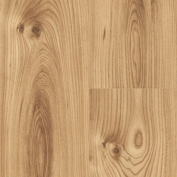 Laminat Deutsche Eiche - 1.285 x 192 x 8 mm, Landhausdiele - Nahaufnahme von Laminatboden mit einer hellbraunen Holzmaserung und Ästen für ein warmes, natürliches Aussehen.