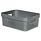 Curver Aufbewahrungsbox Infinity (L x B x H: 35,6 x 26,6 x 13,6 cm, Kunststoff, Grau) | BAUHAUS