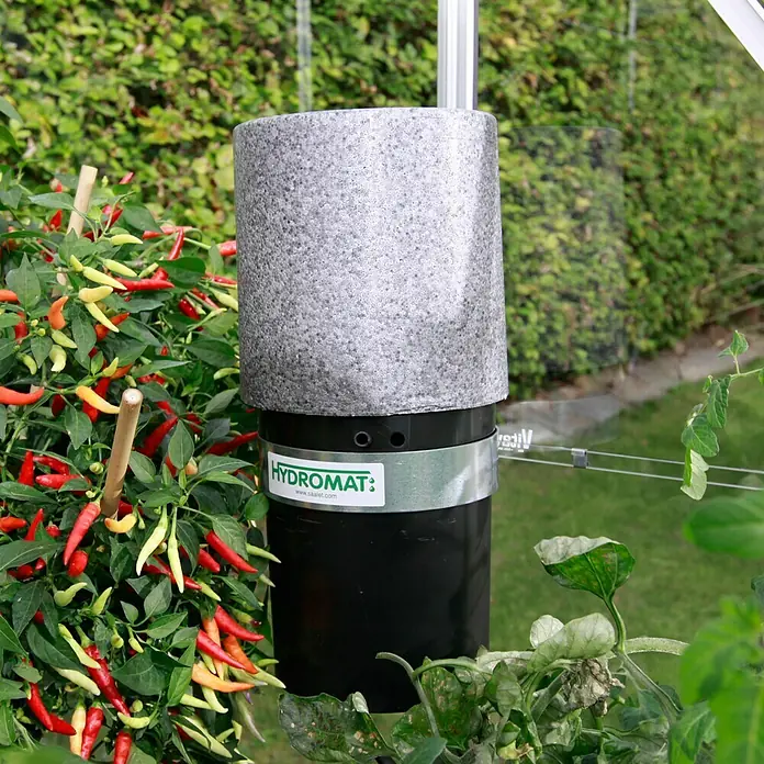 Vitavia Hydromat - Ø x H: 12 x 25 cm - Hydromat Bewässerungssystem mit grauer Abdeckung und schwarzem Behälter, umgeben von Pflanzen im Garten.