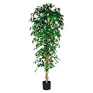 Kunstpflanze Ficus Benjamina (Höhe: 180 cm, Grün, Kunststoff)