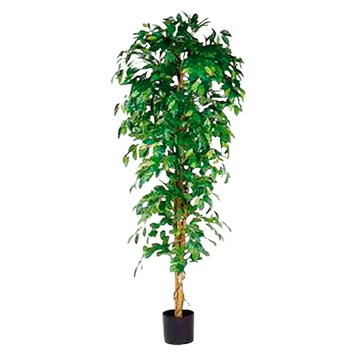 Kunstpflanze Ficus Benjamina - Höhe: 180 cm, Grün, Kunststoff - Künstlicher Ficus-Baum im Topf. Ein dekorativer, immergrüner Akzent für jeden Raum, der eine natürliche Atmosphäre schafft.\n