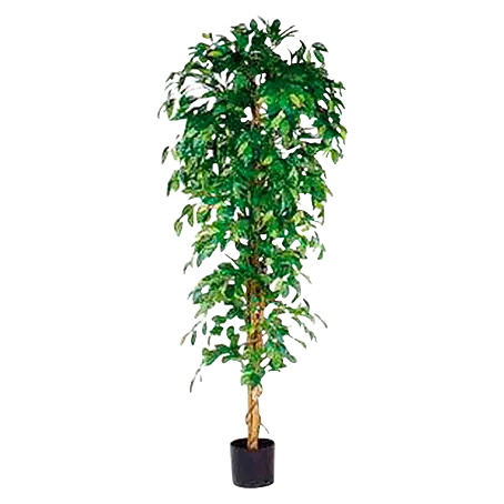 Kunstpflanze Ficus Benjamina - Hhe: 180 cm, Grn, Kunststoff online kaufen  bei BAUHAUS