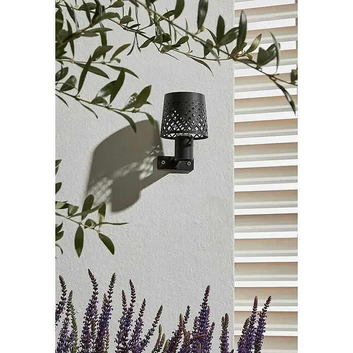 Luxform Manacor Aplique solar para exterior - L x An x Al: 9 x 9 x 13,5 cm, Negro - Primer plano de una lámpara de pared negra con patrón geométrico sobre una pared blanca, rodeada de plantas.