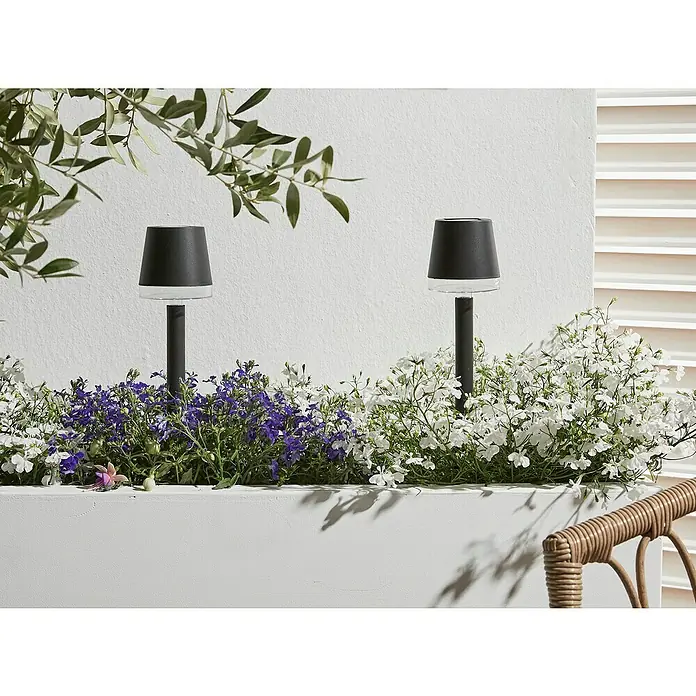 Luxform Cala D'Or Estaca solar - L x An x Al: 8 x 8 x 26 cm, Negro, IP44, 1 lm - Primer plano de dos elegantes lámparas de jardín negras situadas entre exuberantes flores sobre una base de hormigón blanca.