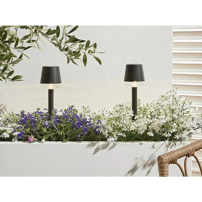 Luxform Cala D'Or Estaca solar - L x An x Al: 8 x 8 x 26 cm, Negro, IP44, 1 lm - Dos elegantes luces negras de exterior entre flores moradas y blancas, creando un ambiente acogedor en el espacio.