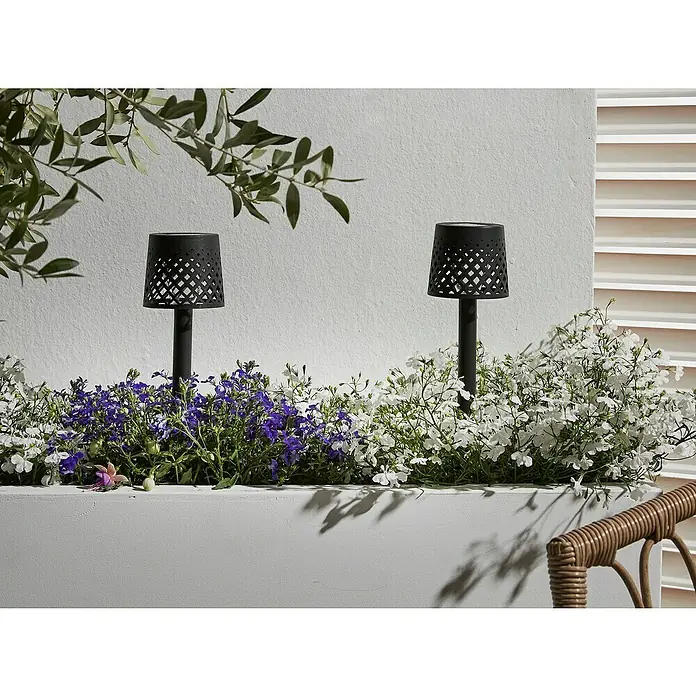 Luxform Manacor Estaca solar - L x An x Al: 9 x 9 x 26 cm, Negro, 1 lm - Dos luces negras de jardín con patrones decorativos destacan en medio de flores en flor sobre una superficie blanca. Las luces son llamativas.