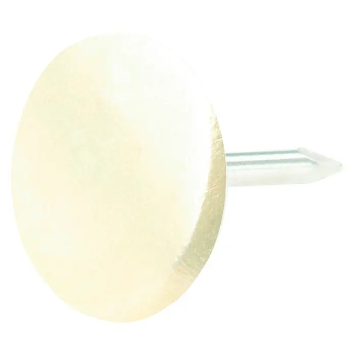 Stabilit PolsternagelLänge: 8 mm, Vermessingt, 60 Stk. - Nahaufnahme eines cremefarbenen Polsternagels mit flachem, rundem Kopf und einem kurzen, silberfarbenen Schaft, der auf einem weißen Hintergrund isoliert ist.