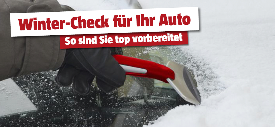 Winterschutz für das Auto