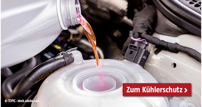 Kühlerschutz Auto
