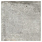 Feinsteinzeugfliese Bond Ash (60 x 60 cm, Grau, Matt) | BAUHAUS