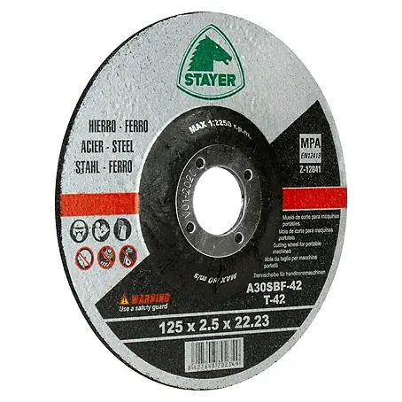 Stayer  Disco de corte