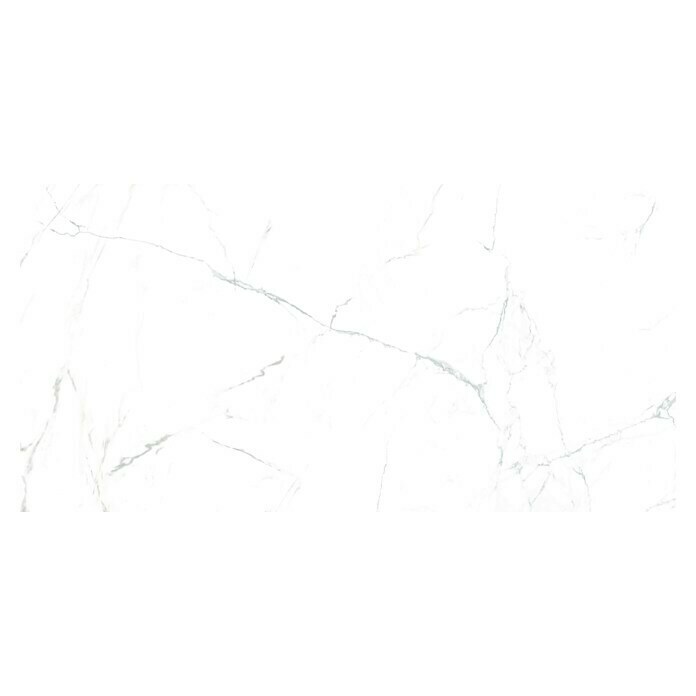 Granitogresne ploščice Marble Neo Cala  (60 x 120 cm, Bela/Srebrna, Sijaj) | 4240 - Natursteinoptik | EAFA - Bodenfliesen | EAF - Fliesen | EA - Fliesen | E - Fliesen | BAUHAUS