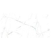 Granitogresne ploščice Marble Neo Cala  (60 x 120 cm, Bela/Srebrna, Sijaj) | 4240 - Natursteinoptik | EAFA - Bodenfliesen | EAF - Fliesen | EA - Fliesen | E - Fliesen | BAUHAUS