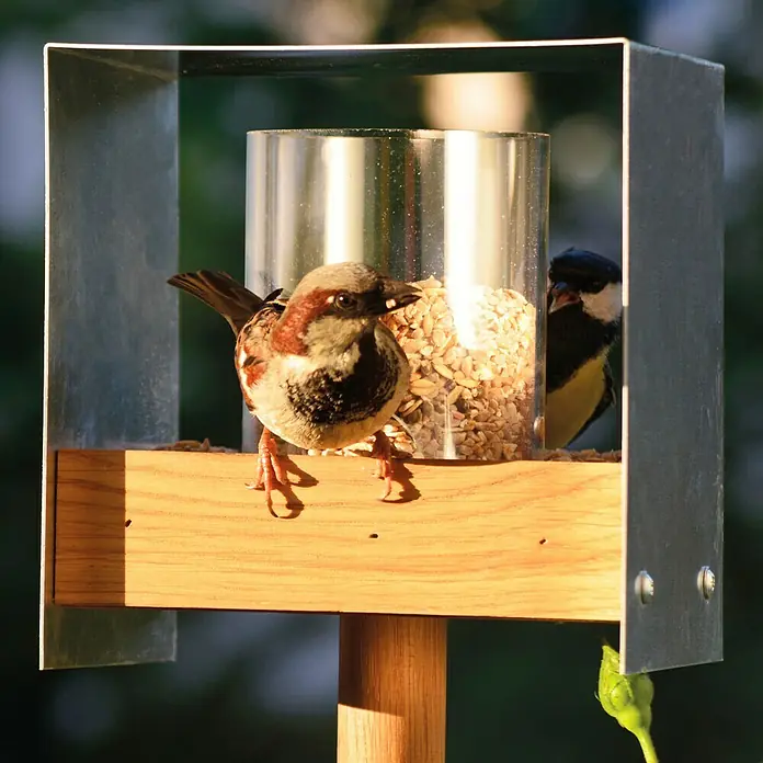 Dobar Vogelhaus BAUHAUS II - 15 x 16 x 161 cm, Natur, Holz - Nahaufnahme einer Vogeltränke mit einem Spatz, der im Futter pickt, während eine Meise im Hintergrund wartet.