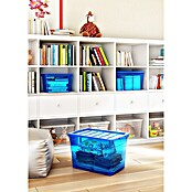 Keter Omnibox Zaboj za shranjevanje M  (Do x Š x V: 47 x 27,5 x 30 cm, Modre barve) | 1401 - Boxen Körbe Wannen Kunststoff | AAJA - Boxen_Körbe_Wannen | AAJ - Aufbewahrung | AA - Eisenwaren | A - Eisenwaren | BAUHAUS