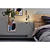 Paulmann LED-Leuchtmittel (E27, Warmweiß, Klar/Schwarz, G95, Matt)