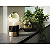 Paulmann Bombilla LED (E27, Blanco cálido, Claro / Oro, G95, Brillante)