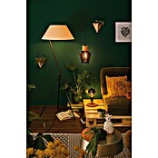 Paulmann LED-Leuchtmittel (E27, Warmweiß, Klar/Schwarz, G125, Matt)