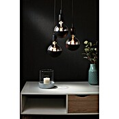 Paulmann LED-Leuchtmittel (E27, Warmweiß, Klar/Schwarz, G95, Matt)