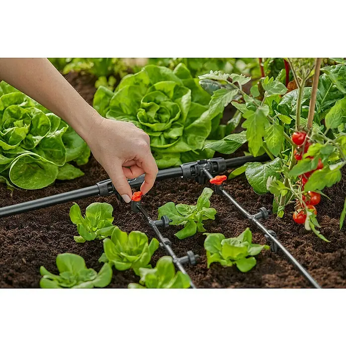 Gardena Micro-Drip Absperrventil - ³⁄₁₆″ - Nahaufnahme einer Person, die ein Bewässerungssystem im Gemüsegarten einstellt, um die Pflanzen optimal zu versorgen.