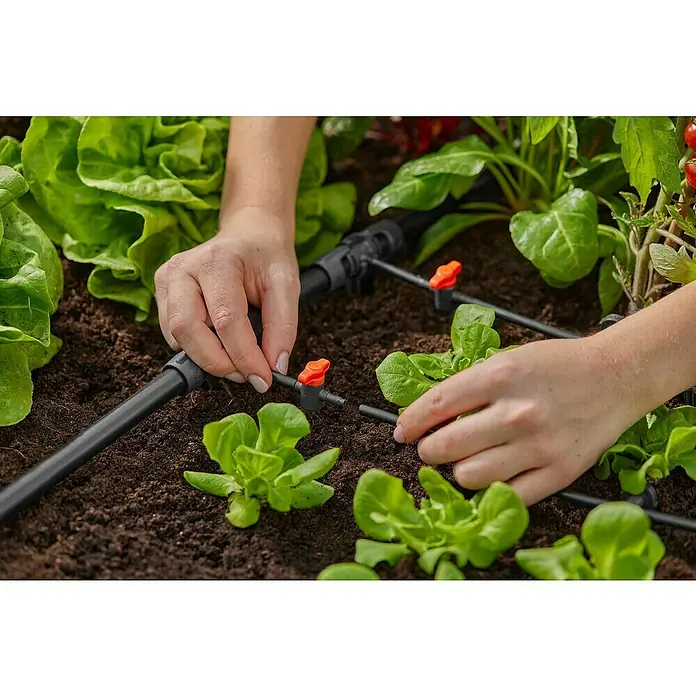 Gardena Micro-Drip Absperrventil - ³⁄₁₆″ - Nahaufnahme einer Person, die ein Gardena Micro-Drip-System in einem Gemüsegarten installiert, um Salat und andere Pflanzen effizient zu bewässern.
