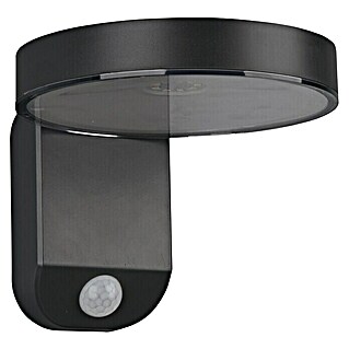 Reality Leuchten LED-Sensor-Außenwandleuchte POSADAS (5 W, L x B x H: 18,3 x 15 x 12 cm, Warmweiß)