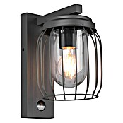 Trio Leuchten Sensor-Außenleuchte TUELA (40 W, L x B x H: 23,5 x 16,5 x 28 cm, Grau, IP44) | BAUHAUS