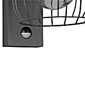 Trio Leuchten Sensor-Außenleuchte TUELA (40 W, L x B x H: 23,5 x 16,5 x 28 cm, Grau, IP44) | BAUHAUS
