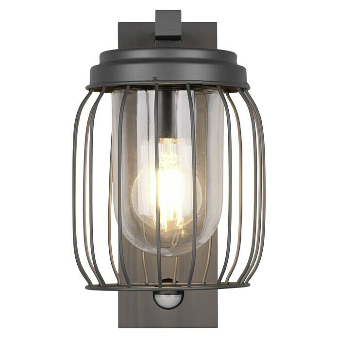 Trio Leuchten Sensor-Außenleuchte TUELA (40 W, L x B x H: 23,5 x 16,5 x 28 cm, Grau, IP44) | BAUHAUS