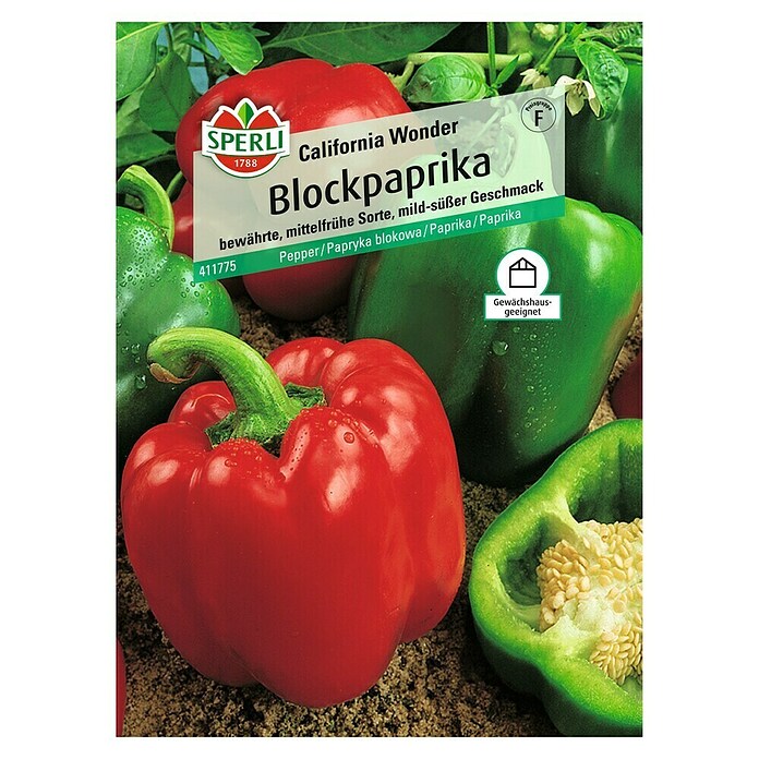 Paprika California Wonder (Capsicum annuum, Erntezeit: Juli) | BAUHAUS