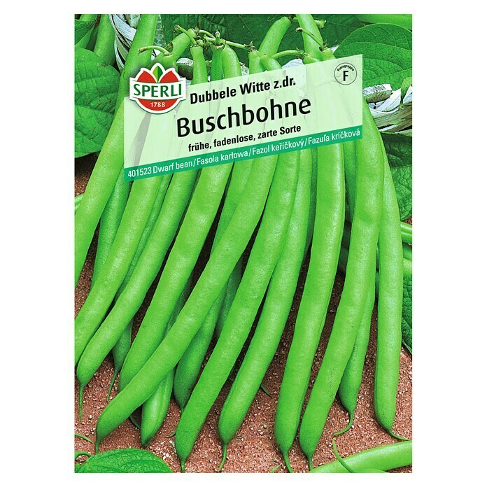 Sperli Gemüsesamen Buschbohnen Dubbele Witte (Phaseolus vulgaris, Saatzeit: Mai, Erntezeit: Juli) | BAUHAUS