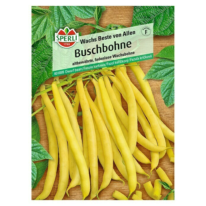 Sperli Gemüsesamen Buschbohnen Wachs Beste von Allen (Phaseolus vulgaris, Saatzeit: Mai, Erntezeit: Juli) - 2 Stück