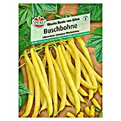Sperli Gemüsesamen Buschbohnen Wachs Beste von Allen (Phaseolus vulgaris, Saatzeit: Mai, Erntezeit: Juli) | BAUHAUS