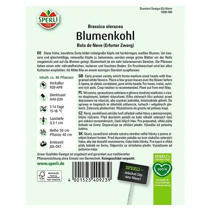 Sperli Gemüsesamen Blumenkohl - Brassica oleracea, Saatzeit: Februar, Erntezeit: Juli - Abbildung einer Samenumschlag von Sperli Blumenkohl Bola de Neve (Erfurter Zwerg).