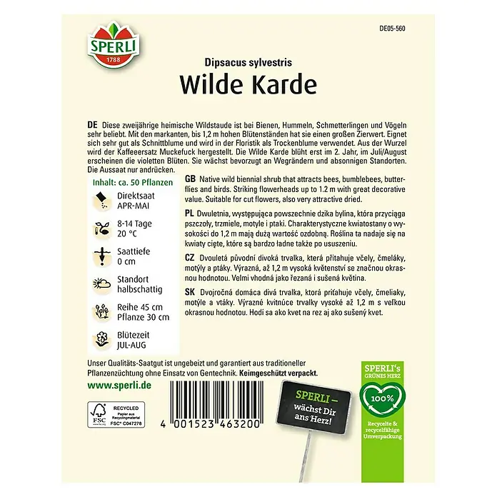 Sperli Blumensamen Wilde Karde - Dipsacus fullonum, Lila, Saatzeit: April, Blütezeit: Juli - Samenpackung Wilde Karde (Dipsacus sylvestris) von Sperli, eine zweijährige Wildstaude, die Bienen und Schmetterlinge anzieht.