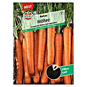 Sperli Gemüsesamen Karotten Berkos (Daucus carota, Saatzeit: März, Erntezeit: August) | BAUHAUS