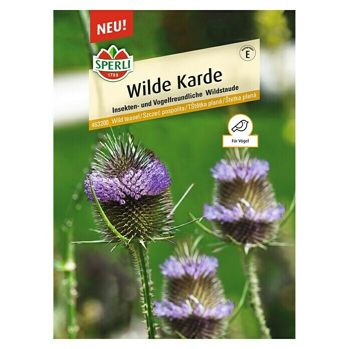 Sperli Blumensamen Wilde Karde (Dipsacus fullonum, Lila, Saatzeit: April, Blütezeit: Juli) | BAUHAUS