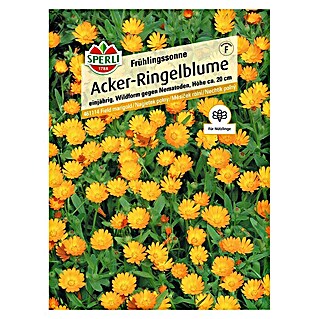 Sperli Blumensamen Acker-Ringelblumen (Calendula arvensis, Gelb, Saatzeit: April, Blütezeit: Juli)