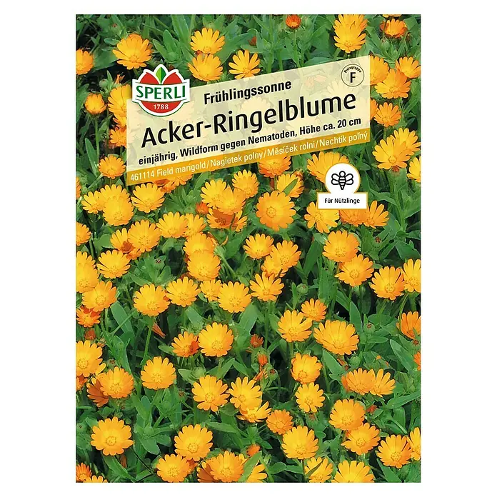 Sperli Blumensamen Acker-Ringelblumen - Calendula arvensis, Gelb, Saatzeit: April, Blütezeit: Juli - Samenpackung Acker-Ringelblume 'Frühlingssonne' von Sperli. Einjährige Wildform gegen Nematoden, Höhe ca. 20 cm, ideal für Nützlinge.