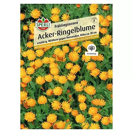 Sperli  Blumensamen Acker-Ringelblumen