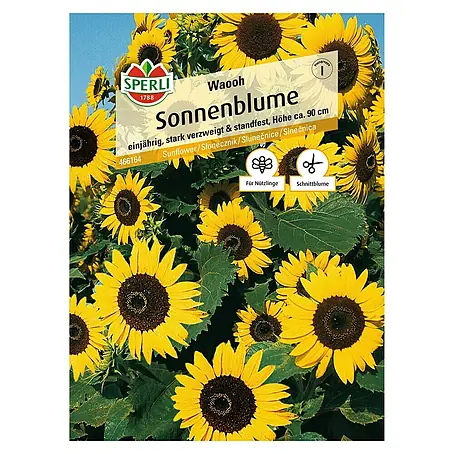 Sperli  Blumensamen Sonnenblumen Waooh